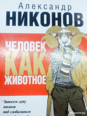 Общественный представитель АСИ в регионе - Александр Никонов: \"Саратовской  области нужно агентство по развитию\" - Деловой Энгельс