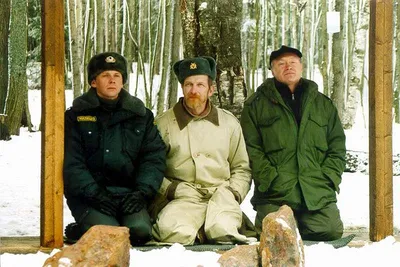 Режиссер Александр Рогожкин: воспоминания с третьей планеты | Писатель и  эссеист Панкратов | Дзен