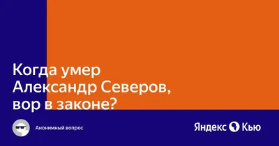 Кулачные бои - настоящая драма в ринге»: Александр Северин проведет третий  бой в промоушене «Top Dog»