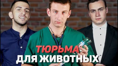 На бойца поп-MMA Шпака возбудили дело по статье о дискредитации ВС РФ