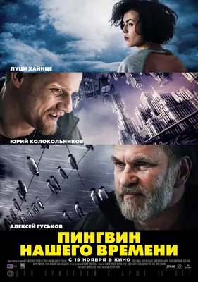 Александр Слободян: «Кто-то расслабляется, думают, что они великие мастера,  а «Оболонь» сегодня настроилась» (27 сентября 2023 г.) — Динамо Киев от  Шурика