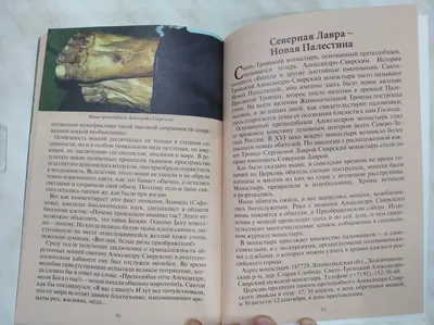 Александр Свирский – биография (житие) святого, икона, память, мощи | Узнай  Всё