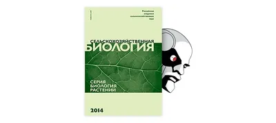 Интервью Константина Тюкавина. Шутка Лички и ответ Аршавина, советы отца и  цели в «Динамо» - Рейтинг Букмекеров