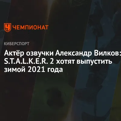 КомпроматСаратов.Ru » Сергей Вилков: «Я считал и считаю, что депутат  Курихин и бандит «Мелкий» одно и то же лицо»