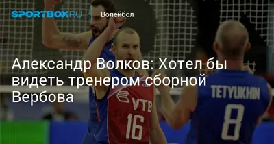 Александр Волков: «Проведение чемпионата мира в России даст толчок  волейболу»