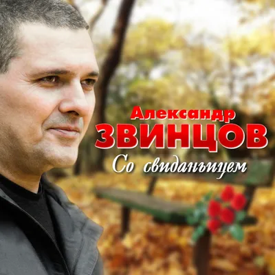 Александр Звинцов