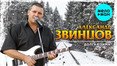 Александр Звинцов