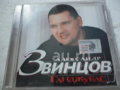 АЛЕКСАНДР ЗВИНЦОВ MP3】 купить в Украине — Музыкальный магазин MuzDecor