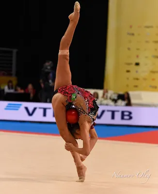 NEWSru.com :: Гимнастка Александра Солдатова завершила спортивную карьеру