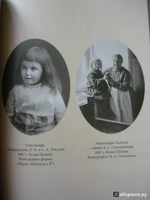 Иллюстрация 15 из 46 для Дневники - Александра Толстая | Лабиринт - книги.  Источник: Шевцов Илья