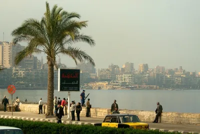 Александрия, Египет — все о городе с фото
