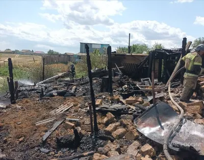 В парке с. Александров-Гай будет создано поле диких тюльпанов - Стрелюхин  Александр Михайлович