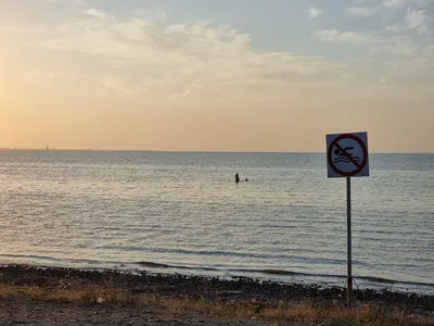 Жизнь на юге вблизи моря. Село Александровка Ейский район, обзор, цены в  магазинах | Дегустаторы путешествий: Юля и Марк | Дзен