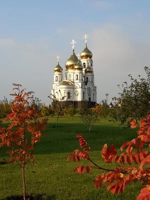 При тушении дома в Алексеевке пожарные нашли труп мужчины | Новости  Саратова и области — Информационное агентство \"Взгляд-инфо\"