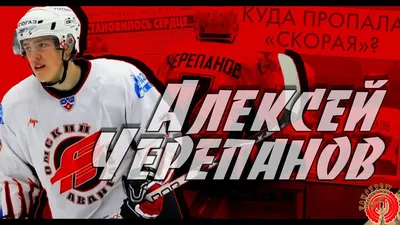 Гибель ястреба: 12 лет назад не стало Алексея Черепанова - РИА Новости  Спорт, 13.10.2020