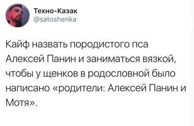 Имя Алексей: значение, судьба, характер, происхождение, совместимость с  другими именами