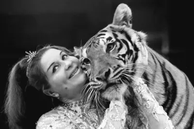 Маргарита Назарова — дрессировщица тигров: трагедия советской циркачки