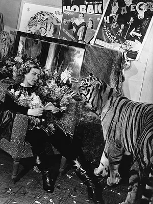 Маргарита Назарова — дрессировщица тигров: трагедия советской циркачки