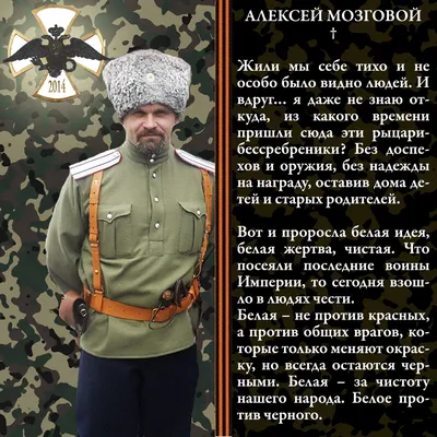 К годовщине гибели Алексея Мозгового († 23 мая 2015) - Дневник комбрига