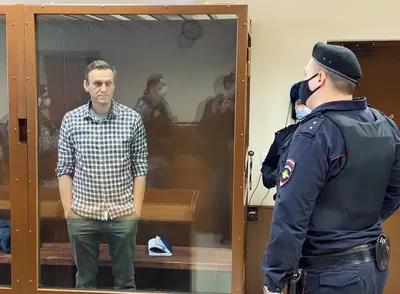 Алексей Навальный и Копипаста: биография, расследования, новости — Лучшее |  Пикабу