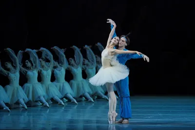Лучшие современные фильмы о балете - My Blog