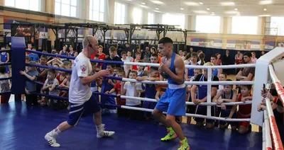 Алексей Тищенко чемпион олимпийских игр по боксу