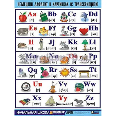 Таблица демонстрационная “Немецкий алфавит в картинках” (винил 100х140) –  Комплексное оснащение образовательной среды