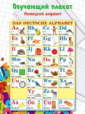 Мир открыток Обучающие плакаты постер немецкий алфавит с картинками
