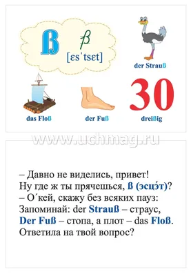 Немецкий алфавит: 32 цветные карточки со стихами. Методическое  сопровождение образовательной деятельности – купить по цене: 139,50 руб. в  интернет-магазине УчМаг