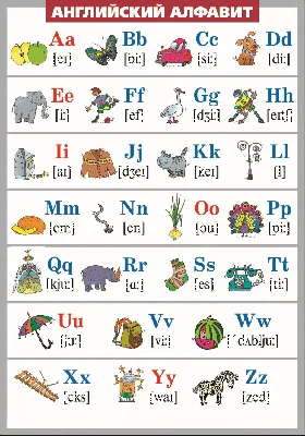 Таблица Латинский алфавит в картинках винил 70х100, цена 1 743,00 руб. —  Таблицы — Каталог товаров — Торговая компания «Отличник»
