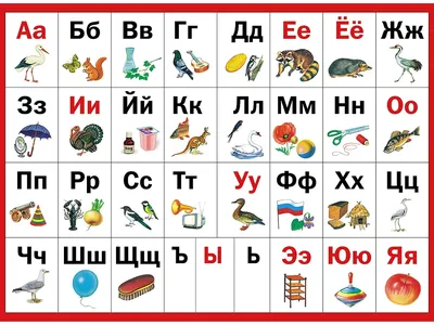 Карточки развивающие Русский язык Алфавит в картинках (33 карточки) -  купить в Москве оптом и в розницу в интернет-магазине Deloks