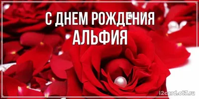 Открытка с именем альфия С днем рождения рожа и жемчужина. Открытки на  каждый день с именами и пожеланиями.