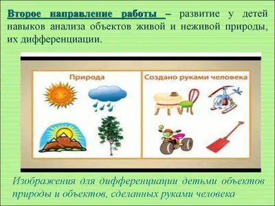 Купить Стенд фигурный Схема дежурных для детского сада 560*560 мм 📄 с  доставкой по Беларуси | интернет-магазин Stendy.by