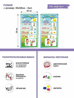 Организация досуговой деятельности детей дошкольного возраста»