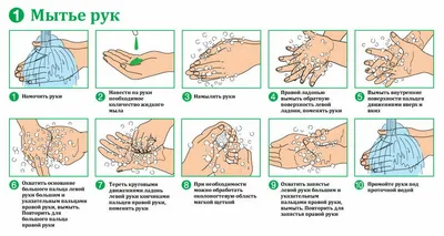 Анализ алгоритмов для начинающих: вводное руководство