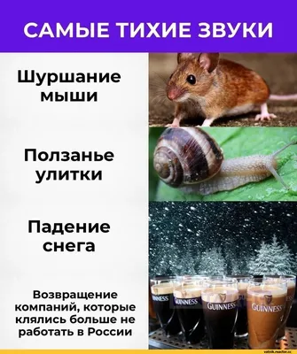 С шумом, плясками, песнями и щедрыми застольями в Новороссийске отгуляли  31-й фестиваль национальных культур «Новороссияне» – Новости Новороссийска