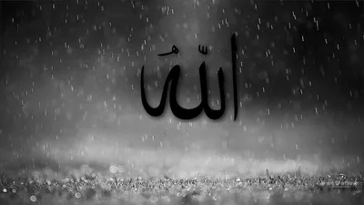 Ислам on X: \"Посланник Аллаха ﷺ сказал: Поистине, произносить слова  «Пречист Аллах» (Субхана-Ллахи), «Хвала Аллаху» (Аль-Хамду ли-Ллахи), «Нет  бога, кроме Аллаха» (Ля иляха илля-Ллаху) и «Аллах Велик!» (Аллаху Акбар!)  я люблю больше
