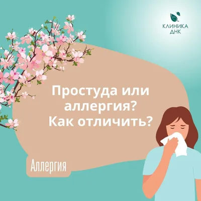 Аллергия на укус комара у взрослых: может ли быть, как проявляется, чем  лечить в домашних условиях