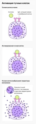 Фотография рук с сыпью и покраснением от мороза: бесплатно скачать