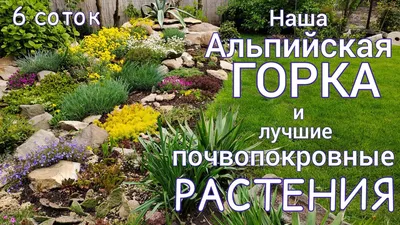 Альпийская горка своими руками — очаровательный уголок в вашем саду:  Персональные записи в журнале Ярмарки Мастеров