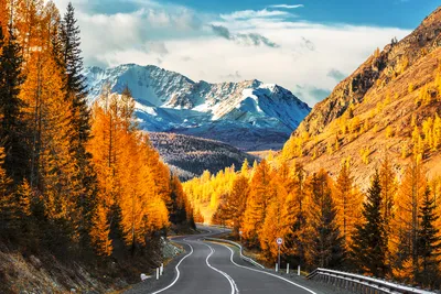 Отдых в горном Алтае зимой 2022–2023 года: куда поехать