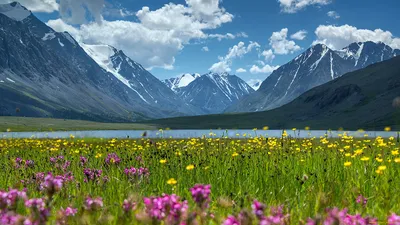 Горный Алтай (49 фото) | Озера, Рафтинг, Путешествия