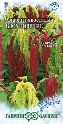 Амарант (Amaranthus) - PictureThis