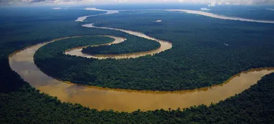 Картинки на тему #Амазонка - в Шедевруме