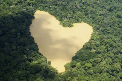 Рубят в Амазонке - аукается в Тибете ⋆ НИА \"Экология\" ⋆