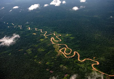 Амазонка - фото, где находится, описание | Planet of Hotels
