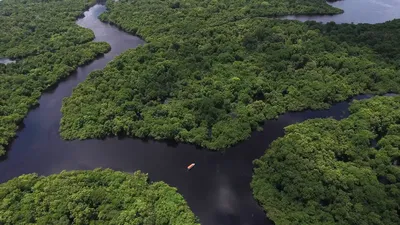 Удивительные снимки реки Амазонки и ее притоков, сделанные с борта  Международной космической станции (МКС)