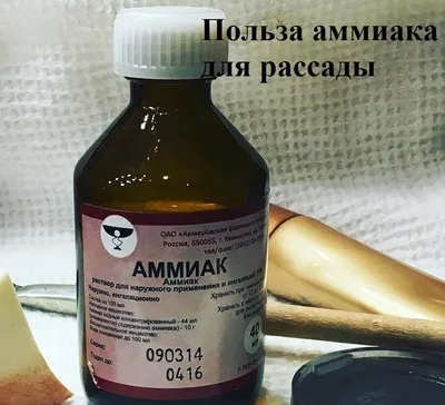 Купить Аммиак р-р 10% 100мл по выгодной цене в Экономной аптеке: инструкция  по применению и отзывы. Арт: 34072