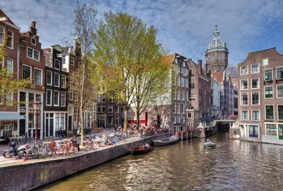 Что посмотреть в Амстердаме: 20 мест, которые стоит посетить