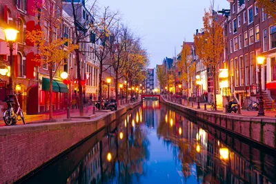 Куда сходить осенью в Амстердаме?